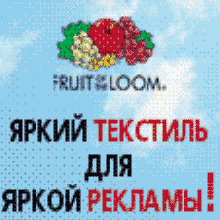Fruit of the Loom